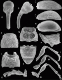 Fig. 43.16