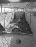 Fig. 6.1