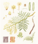 Fig:1