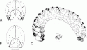 Fig. 43.8