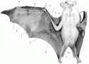 Fig. 13.15