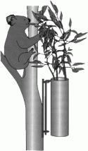 Fig. 7.3