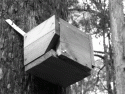 Fig. 4.2