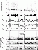 Fig. 10.3.