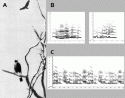 Fig. 11.12.