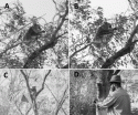 Fig. 7.7