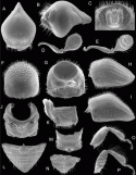 Fig. 46.23