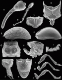 Fig. 43.18