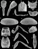 Fig. 43.28