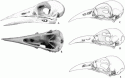 Fig. 3.5.
