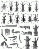 Fig. 43.9
