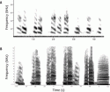 Fig. 11.11.