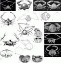 Fig. 14.65