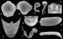 Fig. 46.26