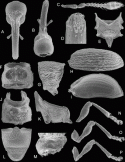 Fig. 43.22