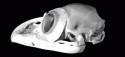 Fig. 3.7.