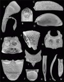 Fig. 43.26