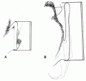 Fig. 13.18