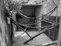 Fig. 10.6