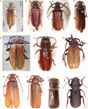 Figure 150