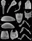 Fig. 43.29