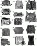 Figs 48.17–48.30
