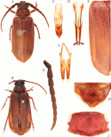 Figure 122
