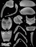 Fig. 43.23