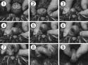 Fig. 3.12