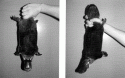 Fig. 2.4