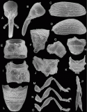 Fig. 43.21