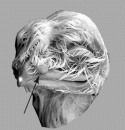Fig. 3.10.