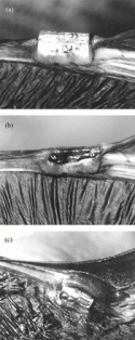 Fig. 13.9