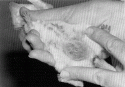 Fig. 4.6