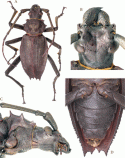 Figure 102