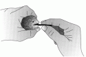 Fig. 13.12