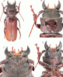 Figure 73