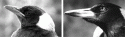 Fig. 3.1.