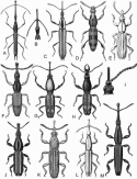 Fig. 43.4