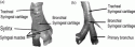 Fig. 8.6.