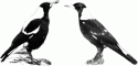 Fig. 2.2.