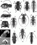 Figs 48.63–48.76