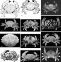 Fig. 14.149