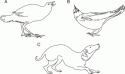 Fig. 9.10.