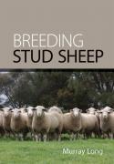 Breeding Stud Sheep