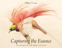 Capturing the Essence