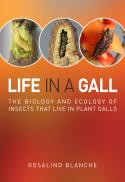 Life in a Gall